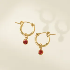 January Birthstone Gold-Filled Hoop Earrings