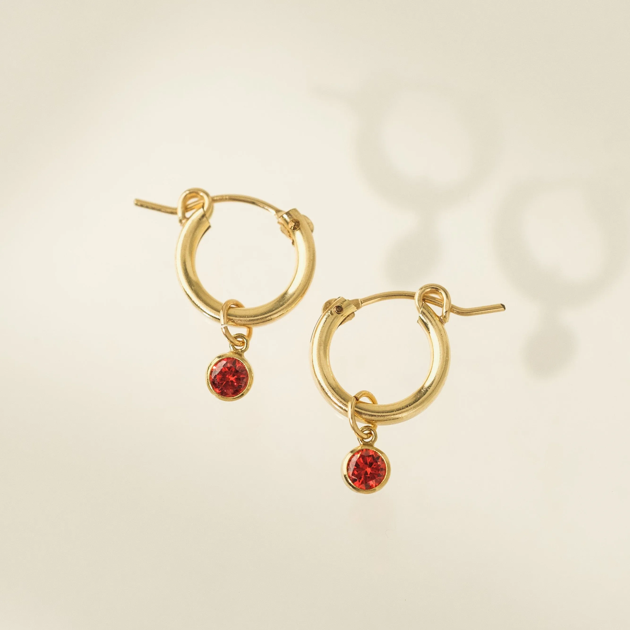 January Birthstone Gold-Filled Hoop Earrings