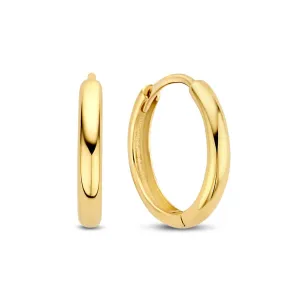 Rivoli Morgane 14 karat gold hoop earrings